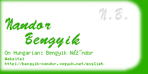 nandor bengyik business card